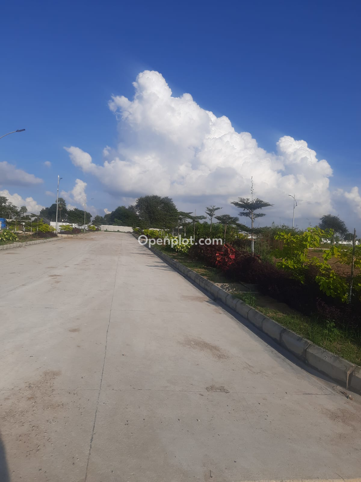 Plot for Sale in Palmakole,Ranga Reddy
